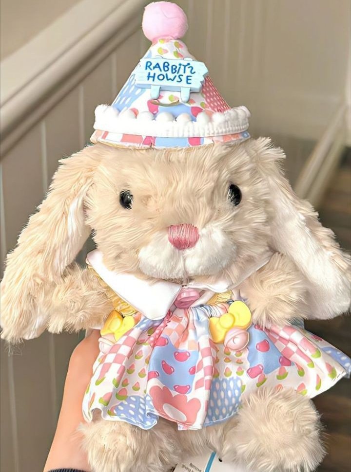 sheA? OPTIP 📌 tweet media