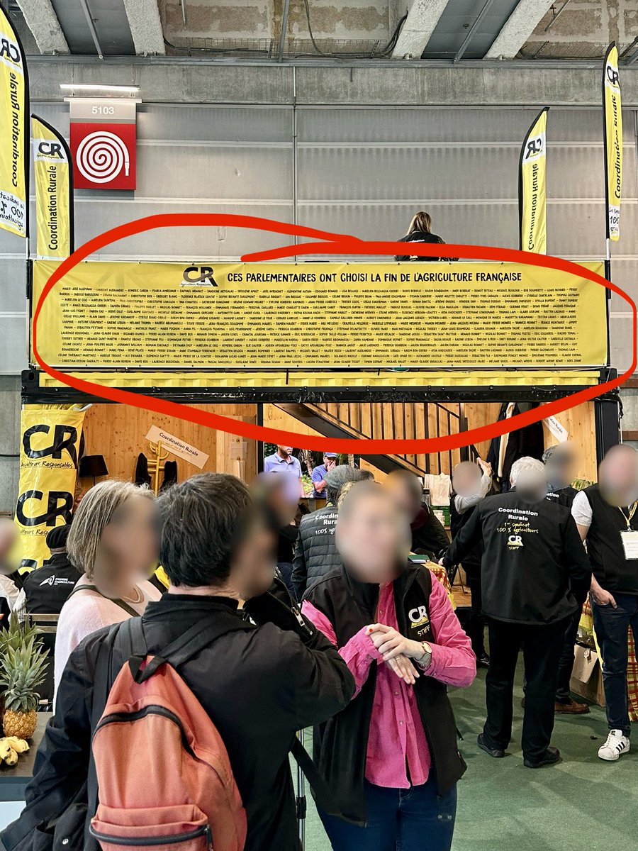 Louis Roquebert tweet media