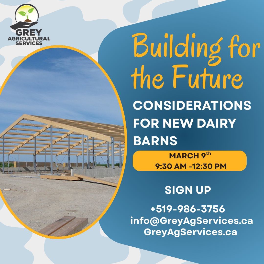 GreyAgServices tweet media