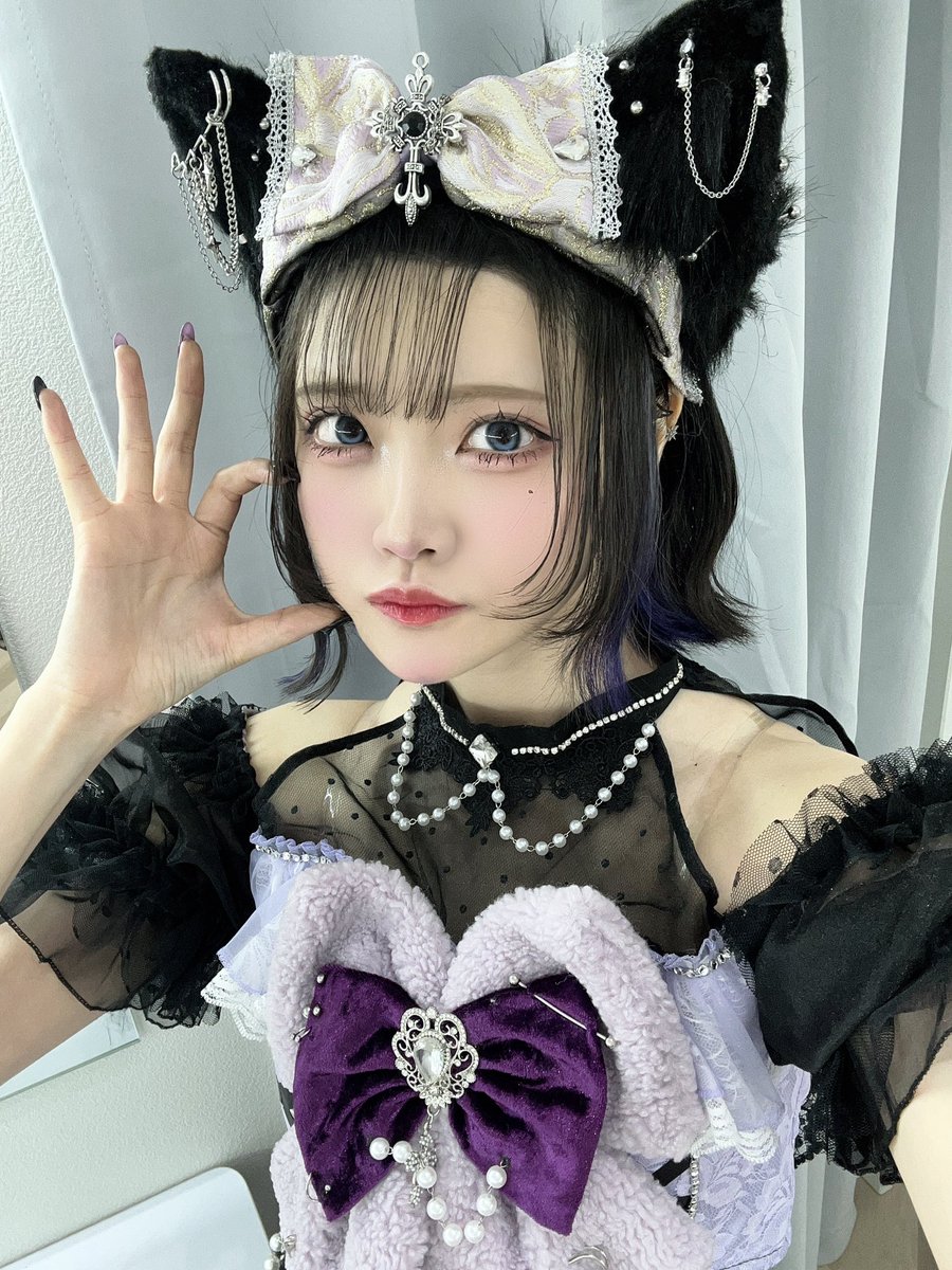 スーパーエリートにゃんこ❕🐈‍⬛