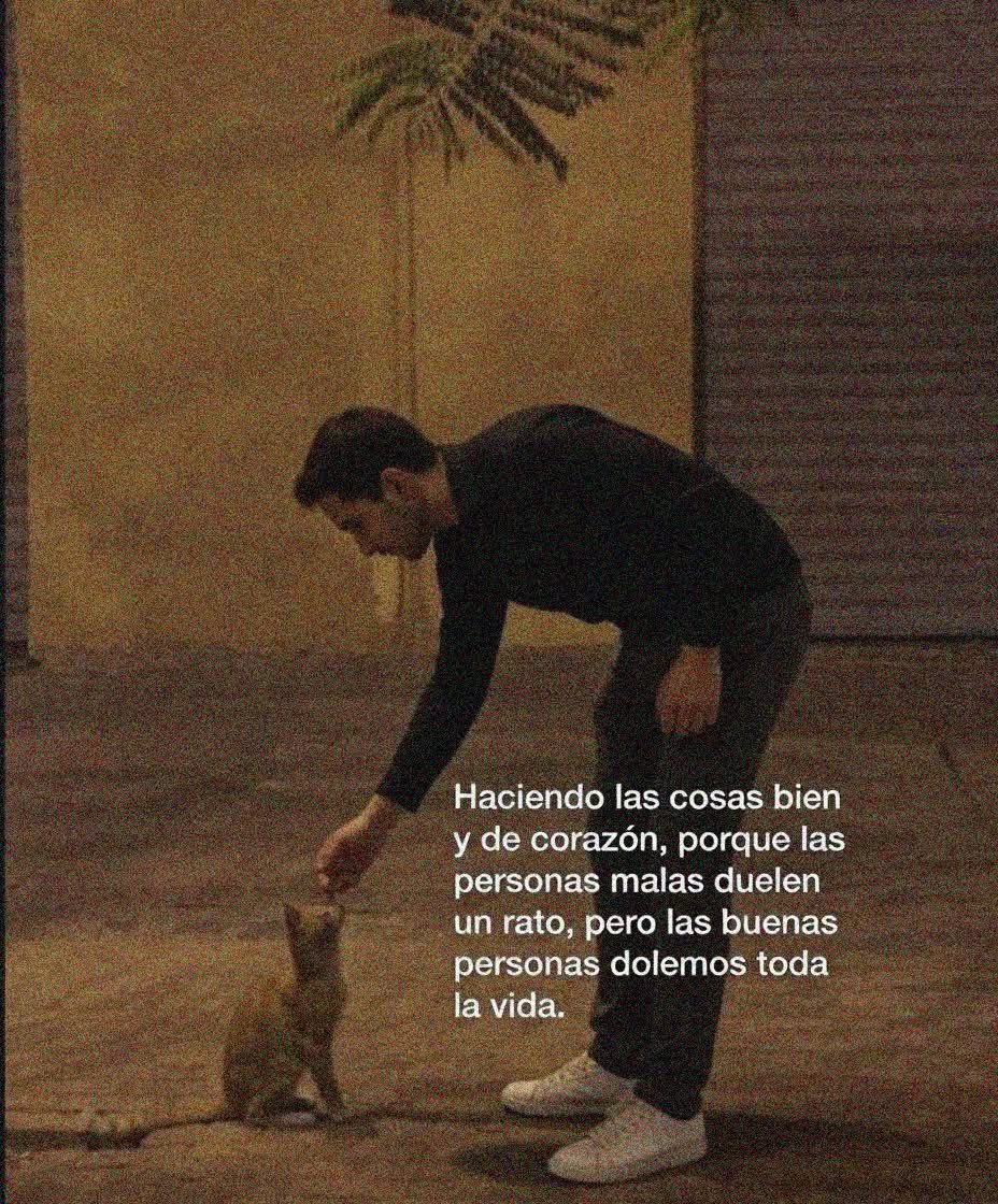 BANDIDOS tweet media