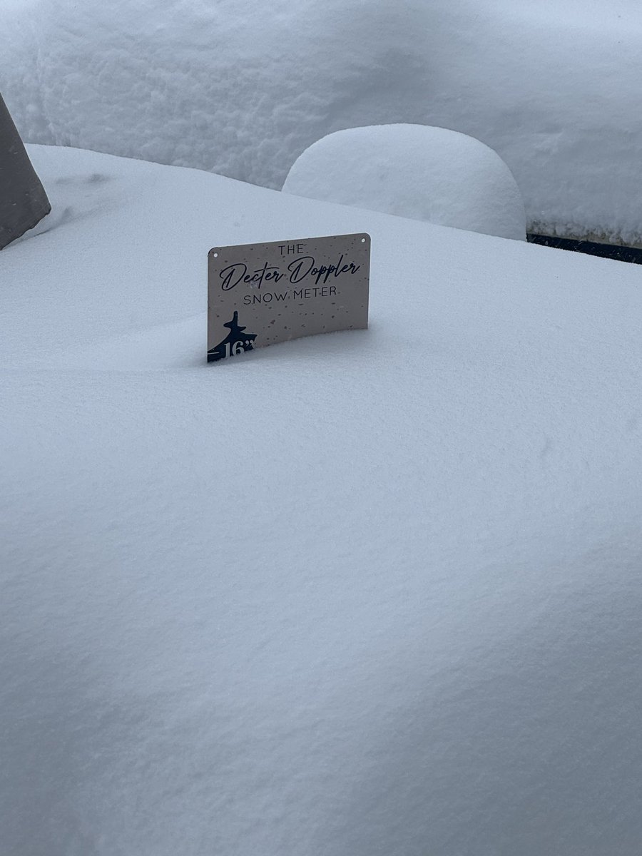 Mitchell tweet media