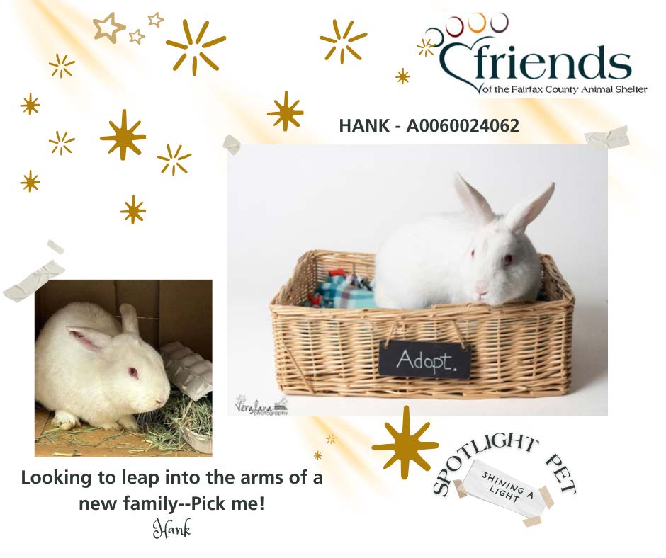 Casey Whitmarsh tweet media