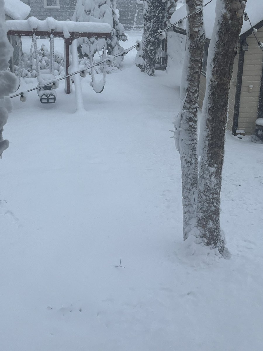 2nd time is a charm. @techproductsinc is closed today due to the snow storm. We will be open tomorrow February 24th. Be safe!