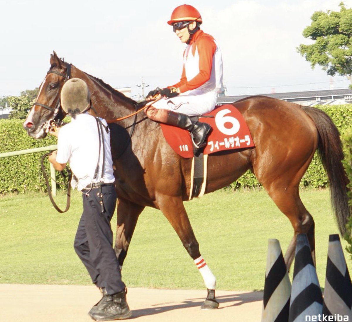 フィールドレーシング tweet media