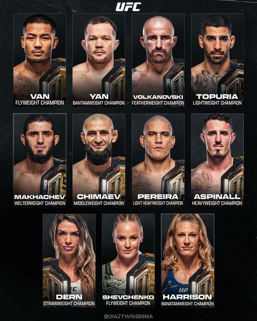 The Fight Fanatic tweet media