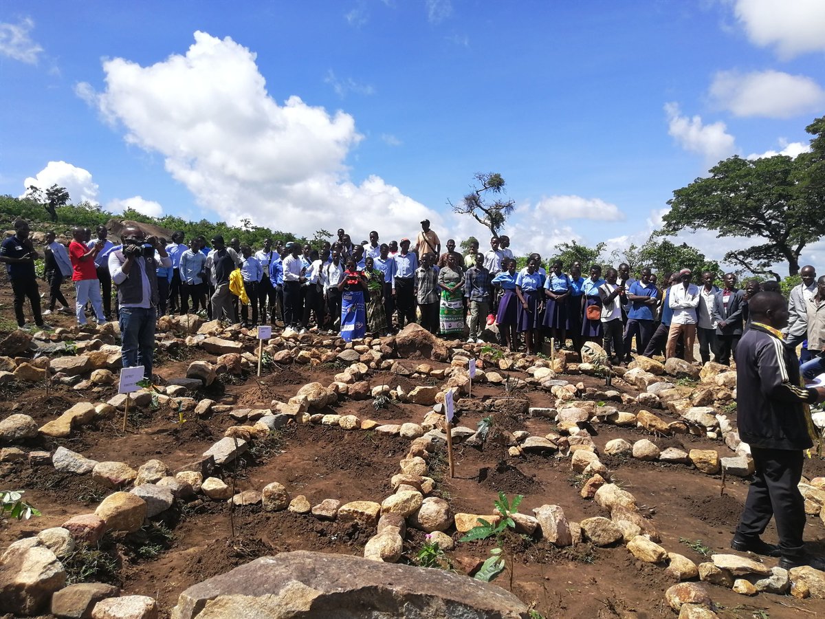 Malawi Environmental Endowment Trust tweet media