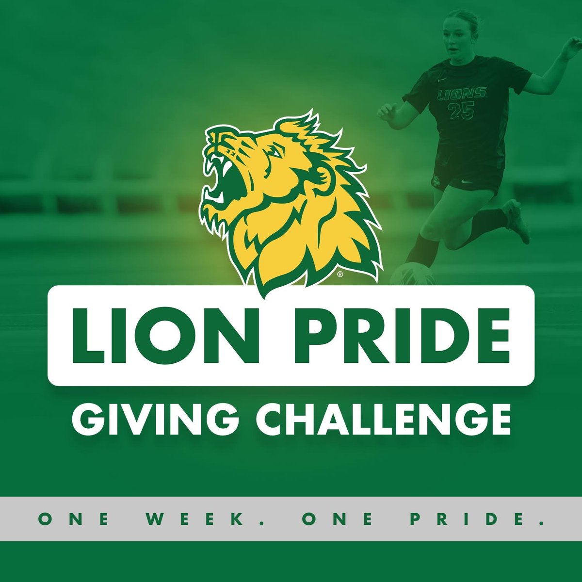 MOSO Soccer tweet media