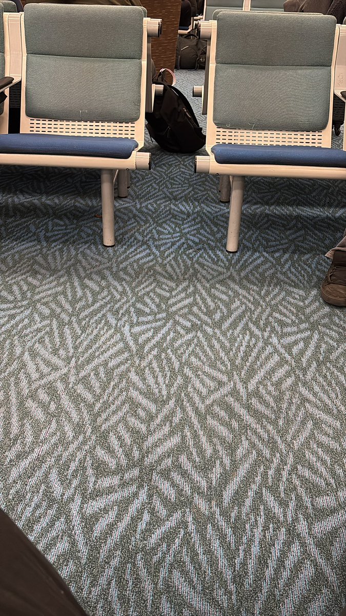 Draven Jolicoeur tweet media