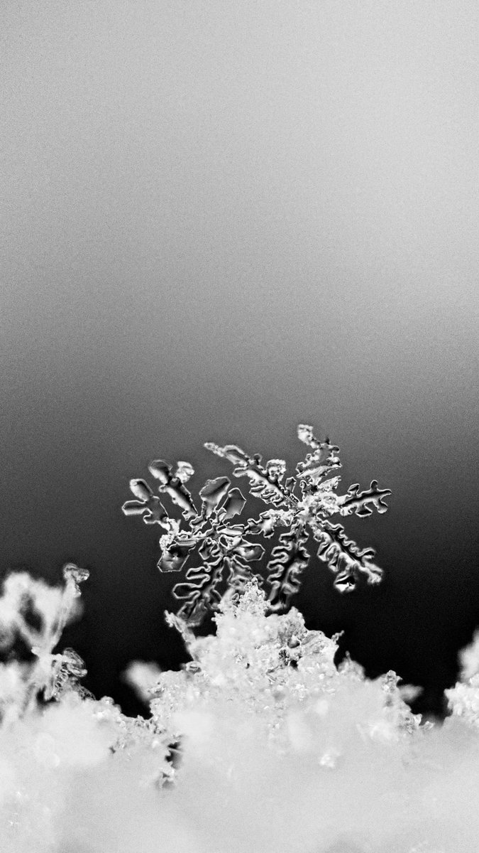 Some snowflakes from last night