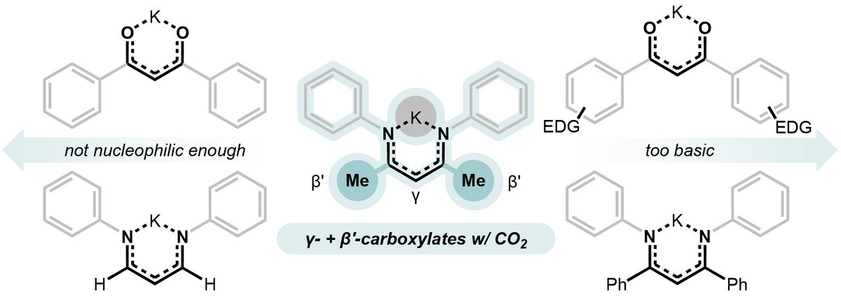 Milner Group at Cornell University tweet media