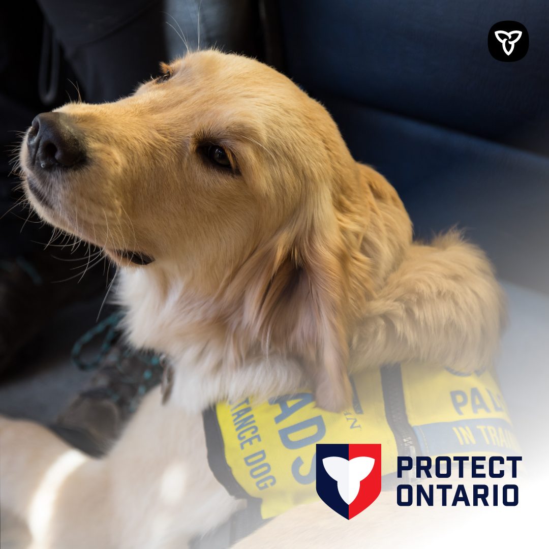 Ontario Accessibility tweet media