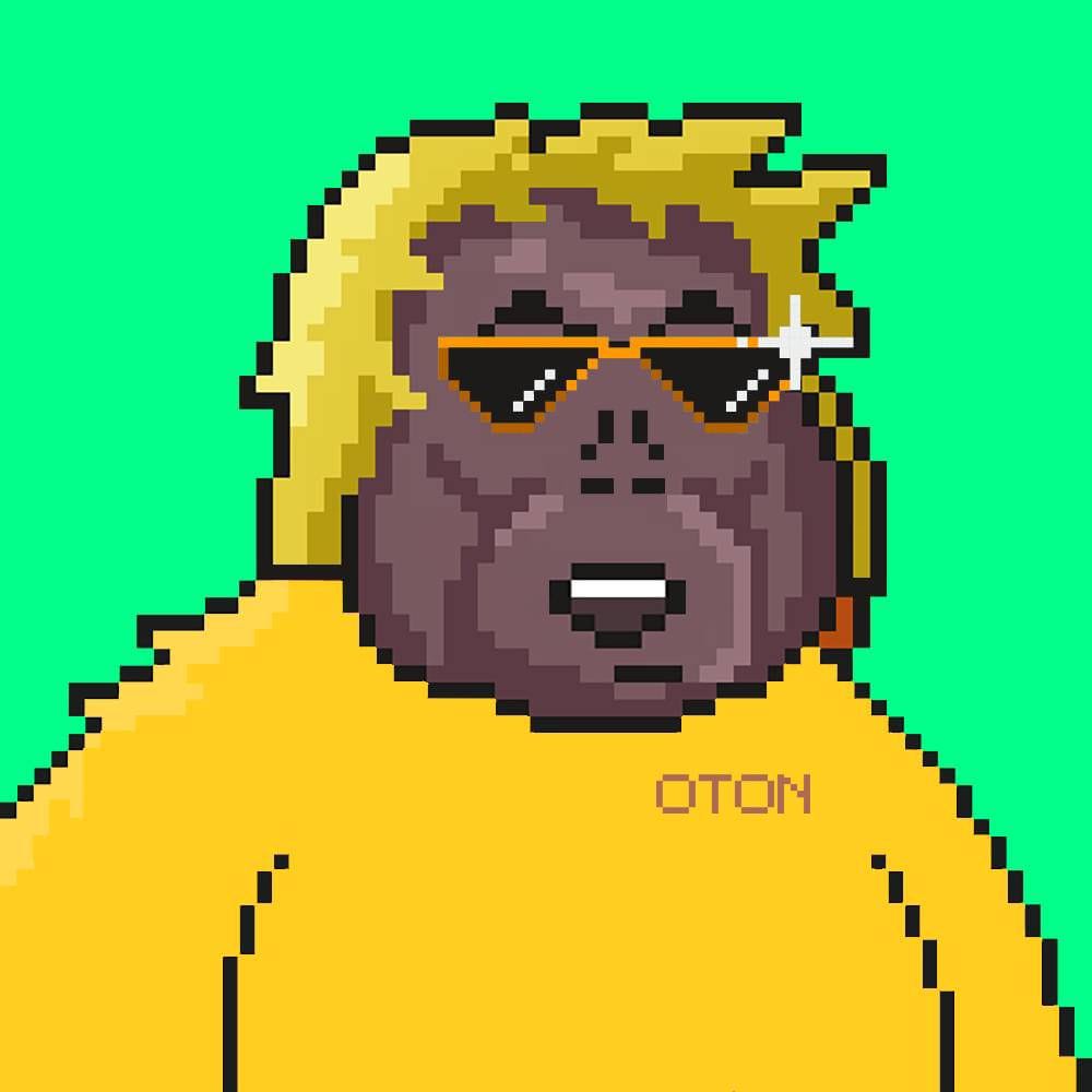 GM to every $TON beliver
From the $OTON #241