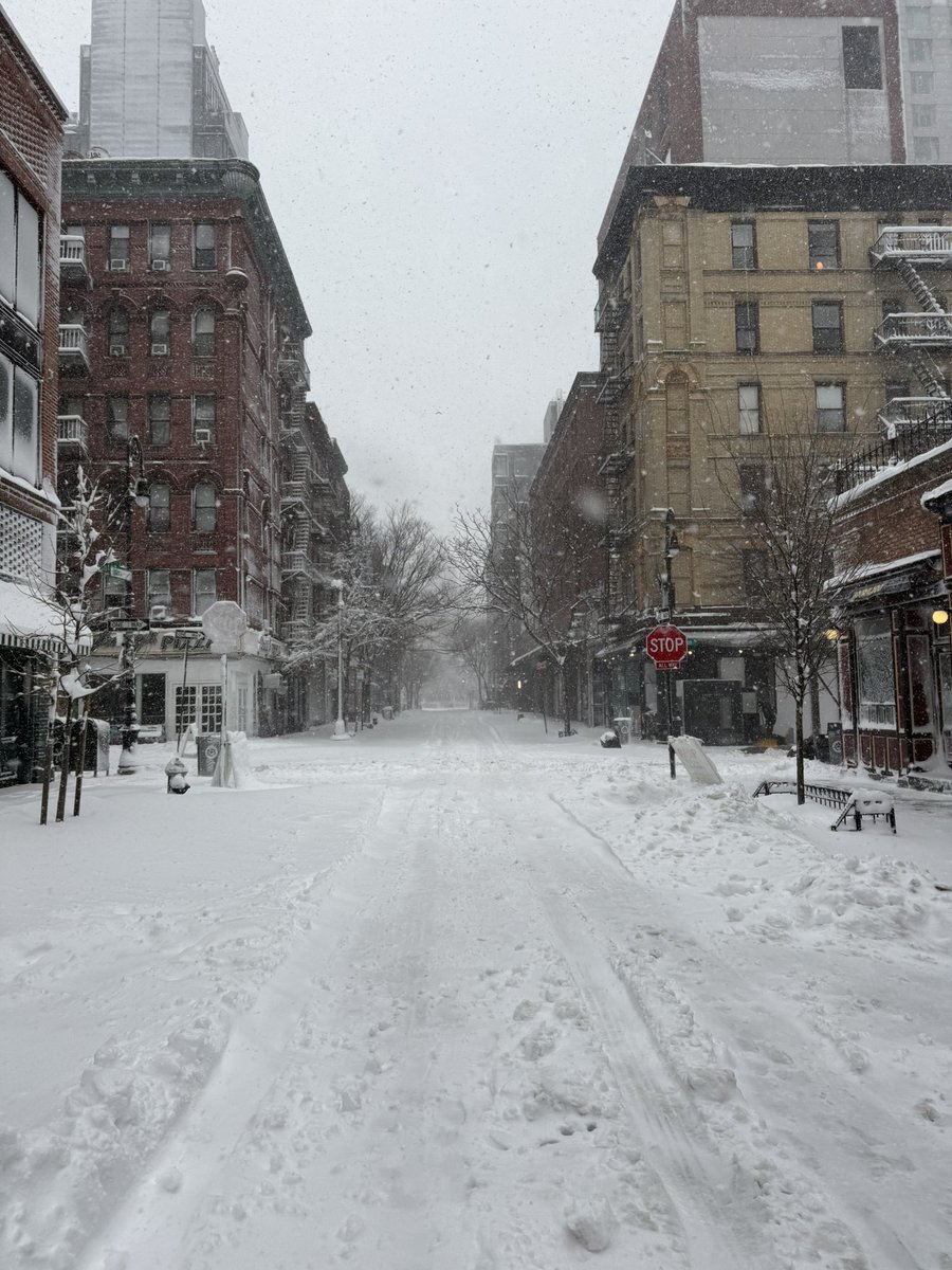 Andra von Lys tweet media