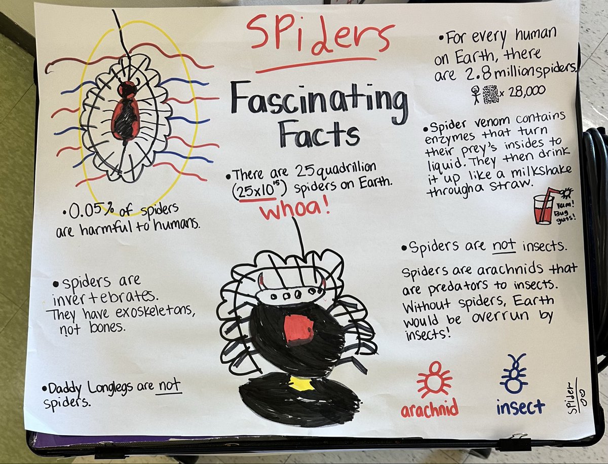 Caitlin Sabers tweet media