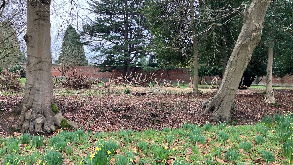 Bucks Country Parks tweet media