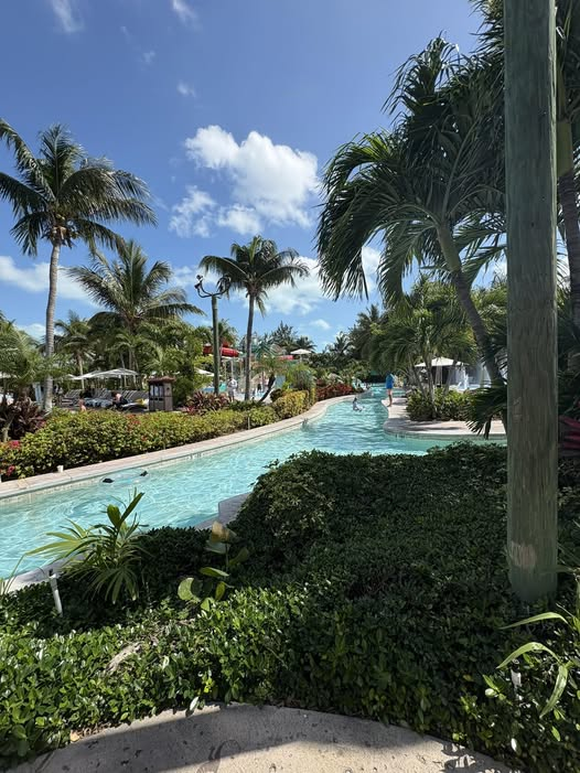 Move100Ottawa's tweet photo. RON & SUKI are heading to @BeachesResorts Turks & Caicos for their honeymoon! The FINAL week for MOVE's #PasswordToParadise! You could win an all-inclusive Caribbean vacay for 2! Keep listening for passwords/entering them at https://t.co/arUBbzTVEP
#SophieandJeff #BeachesResorts https://t.co/gKdomhSzh9