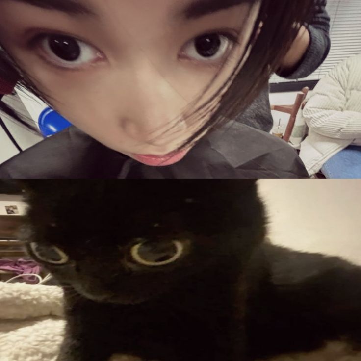 Louis (@palouisgada) on Twitter photo 