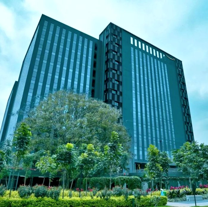 Rapid Reports tweet media