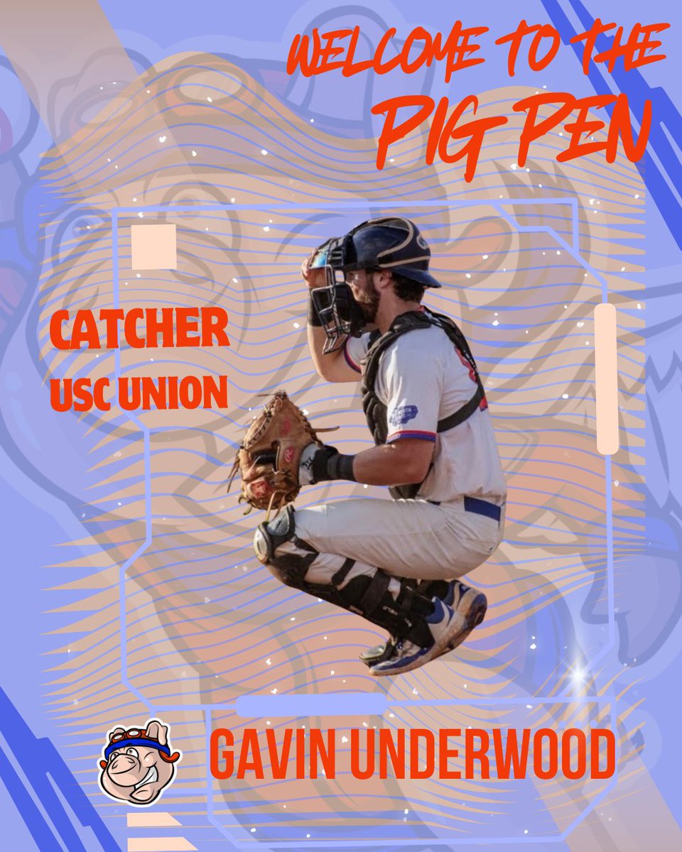 Lexington Flying Pigs tweet media