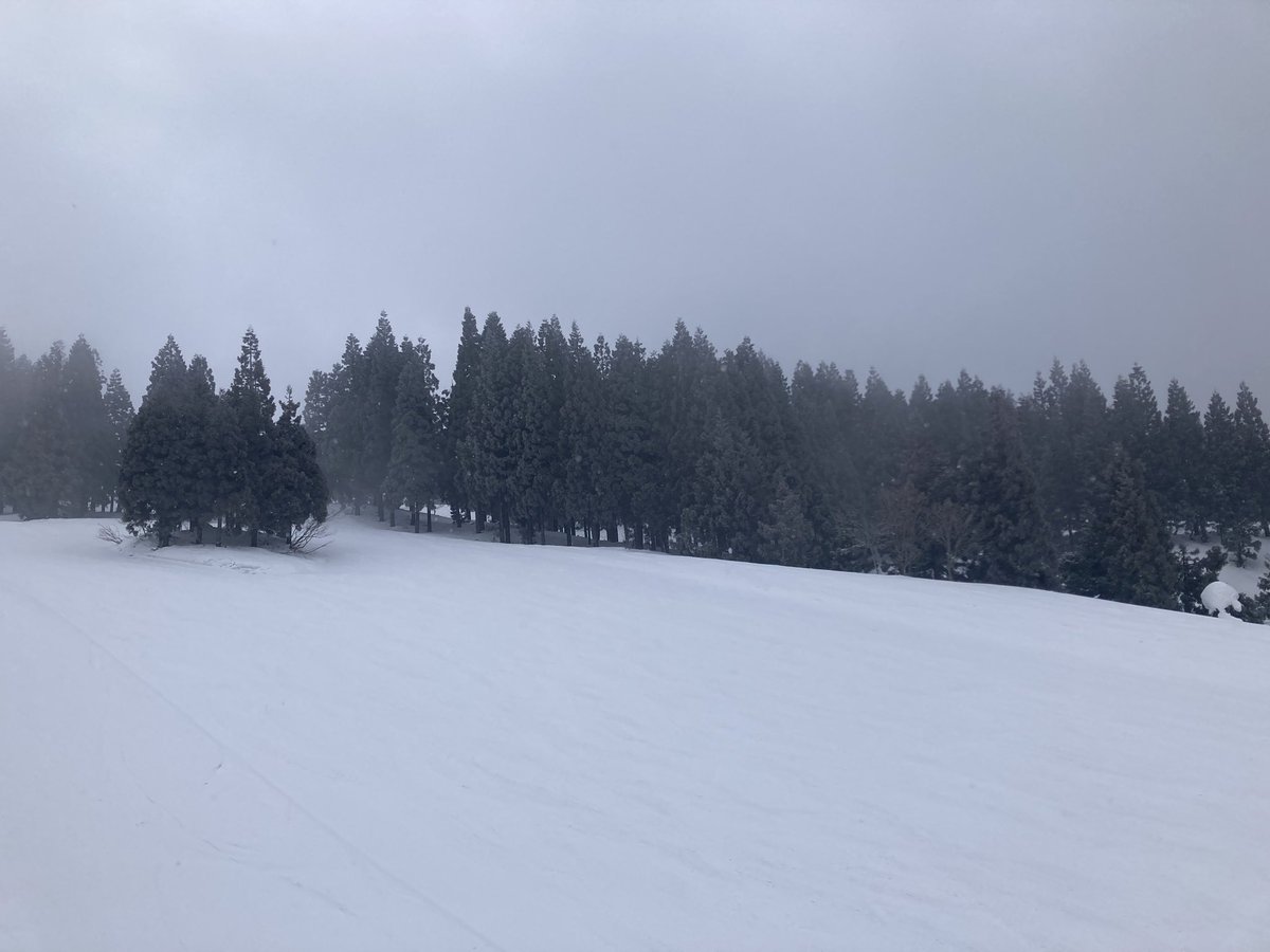 おでかけ...