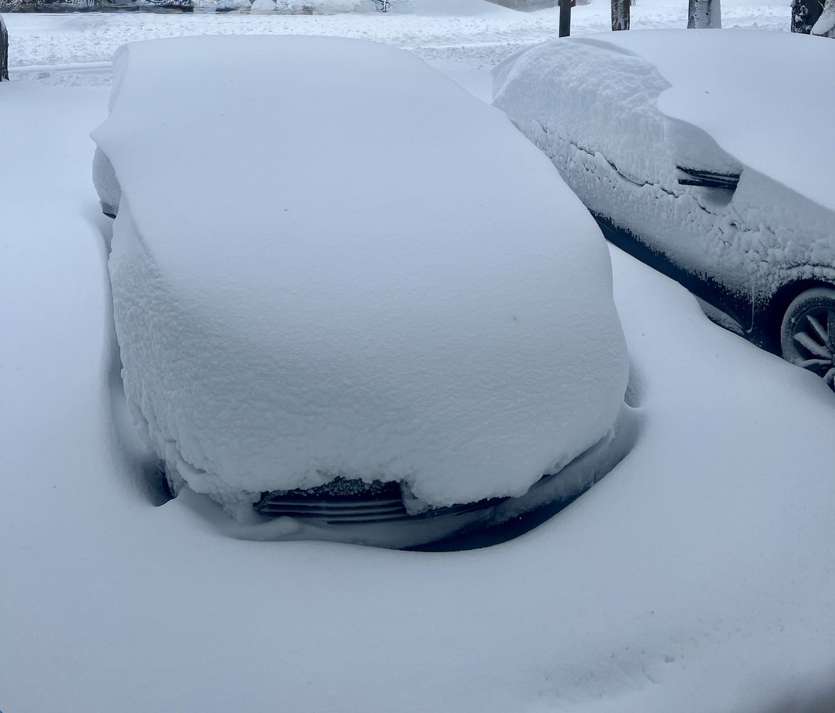 My 2 cars are missing this morning, where could they be?