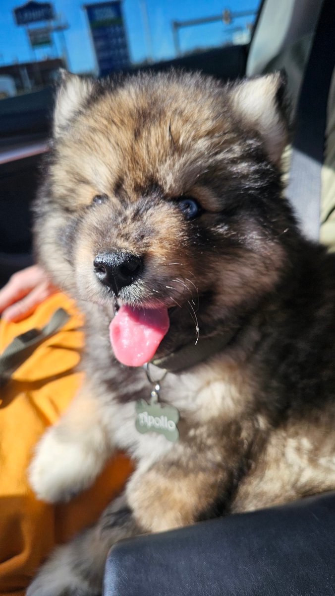 InoriBun🩷🐇 tweet media