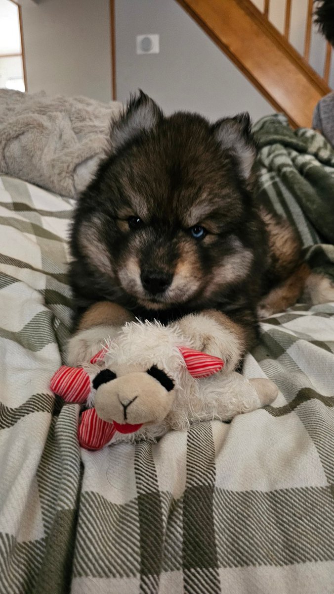 InoriBun🩷🐇 tweet media