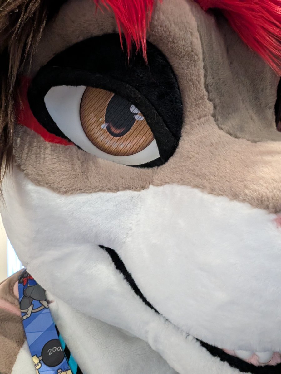 Pit🦈🇮🇹 tweet media