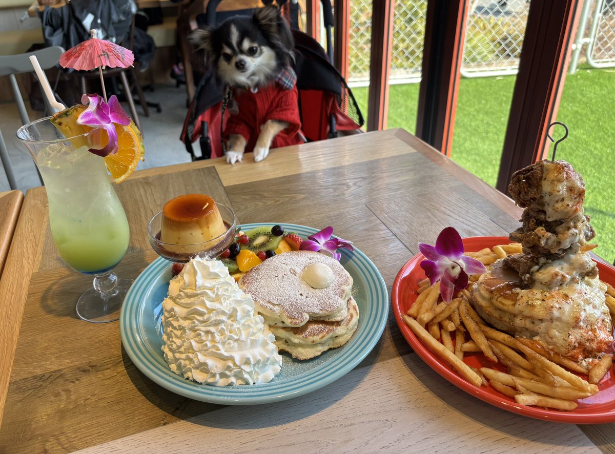 チキン🍗乗ってるパンケーキ🥞 うまかった💕 #コナズコーヒー