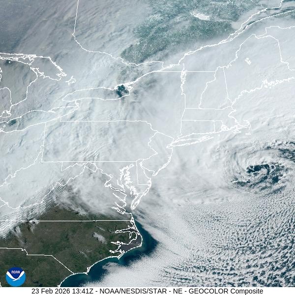 Alex Calamia ☀️ tweet media