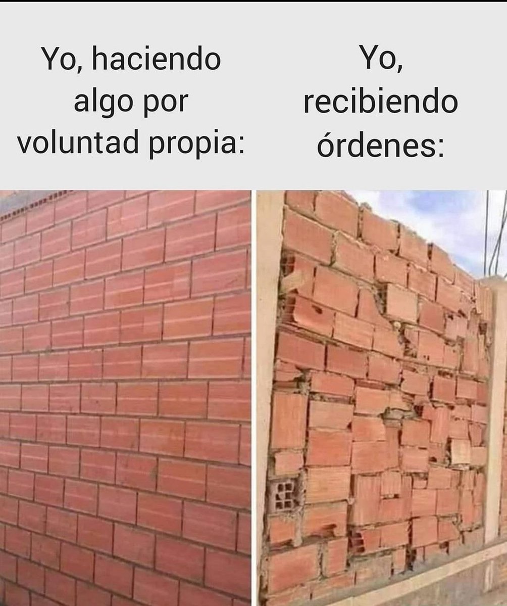 itsD3lay🐧 (@itsd3lay) on Twitter photo 