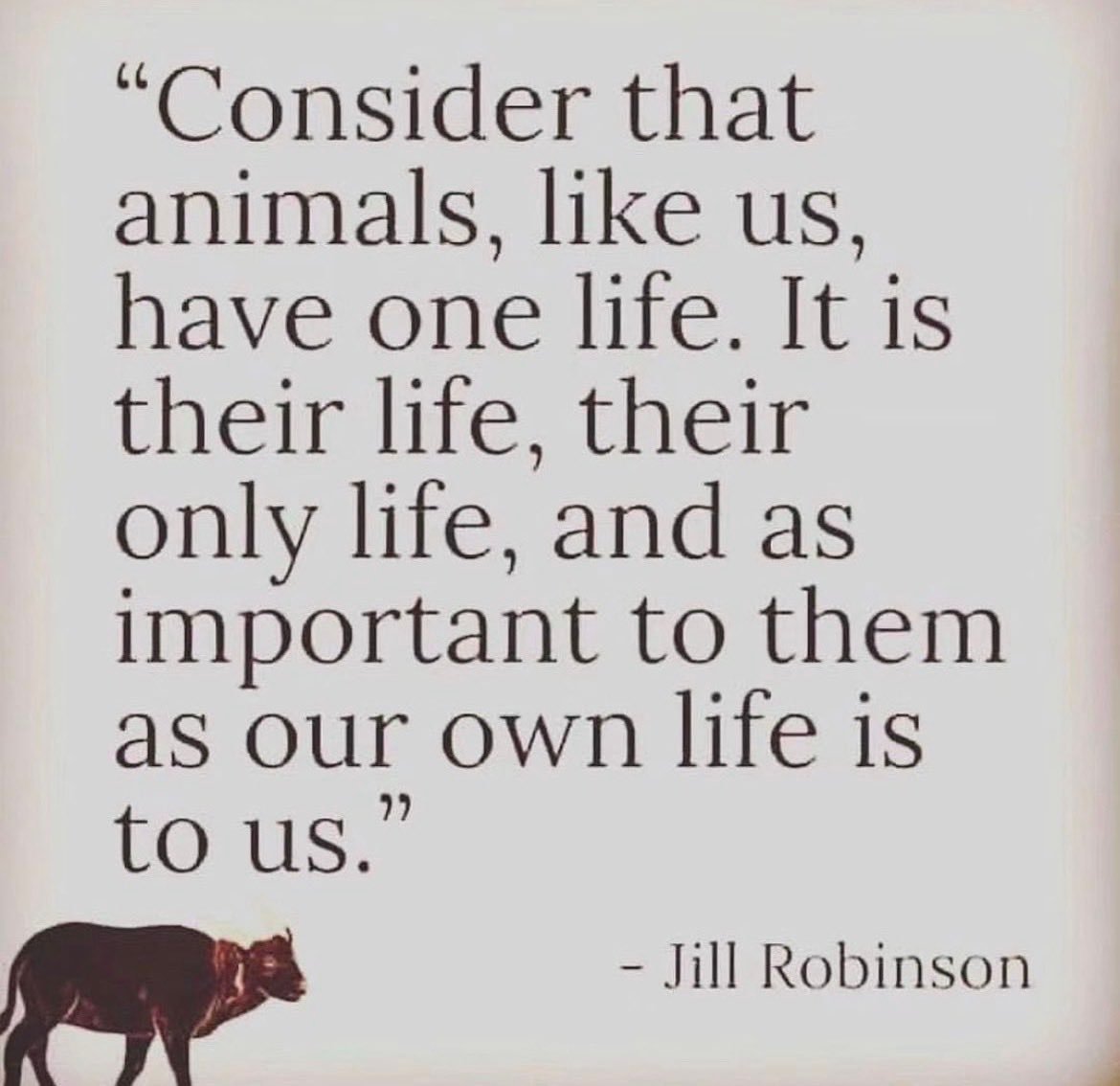 Why Aren't You Vegan? tweet media