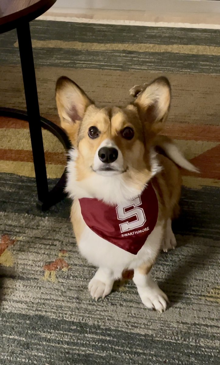 Pier Paolo Creanza tweet media