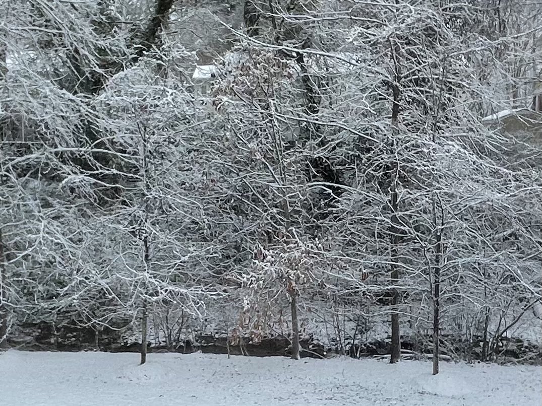 Snow and Ice - JacksonCoppley.com #author #photography