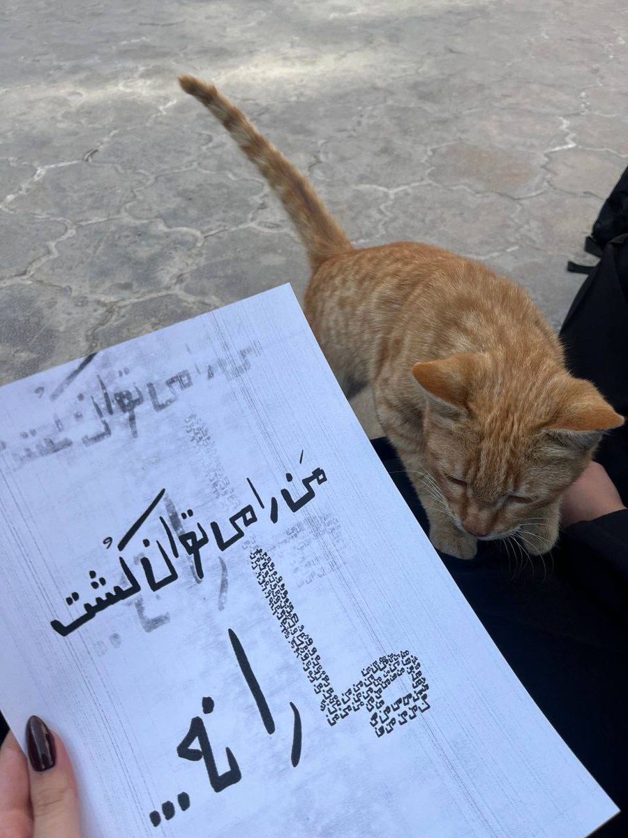 🔴قدرت در دست ماست! جمهوری‌اسلامی نمی‌تواند ما را سرکوب کند #دانشگاه_علم_و_فرهنگ
پایفشاری بر قدرت جمعی و پرهیز از فردگرایی امروز به عناصری سرنوشت‌ساز برای سرنگونی جمهوری‌اسلامی و آلترناتیو آن بدل گشته است.
🫂هماهنگ با هم (دانشگاه و خیابان):
t.me/isf_uni_admin
#زن_زندگی_آزادی