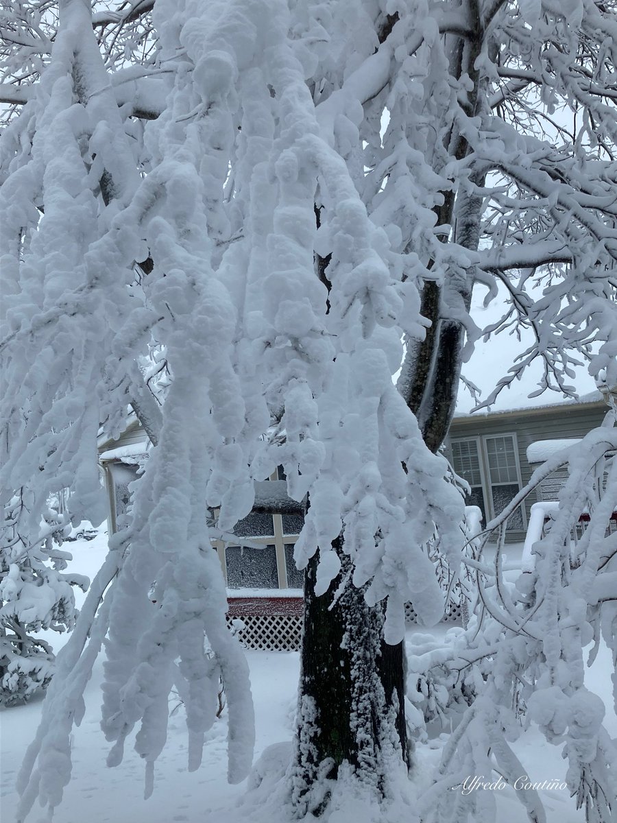 Esta mañana después de la tormenta de nieve.