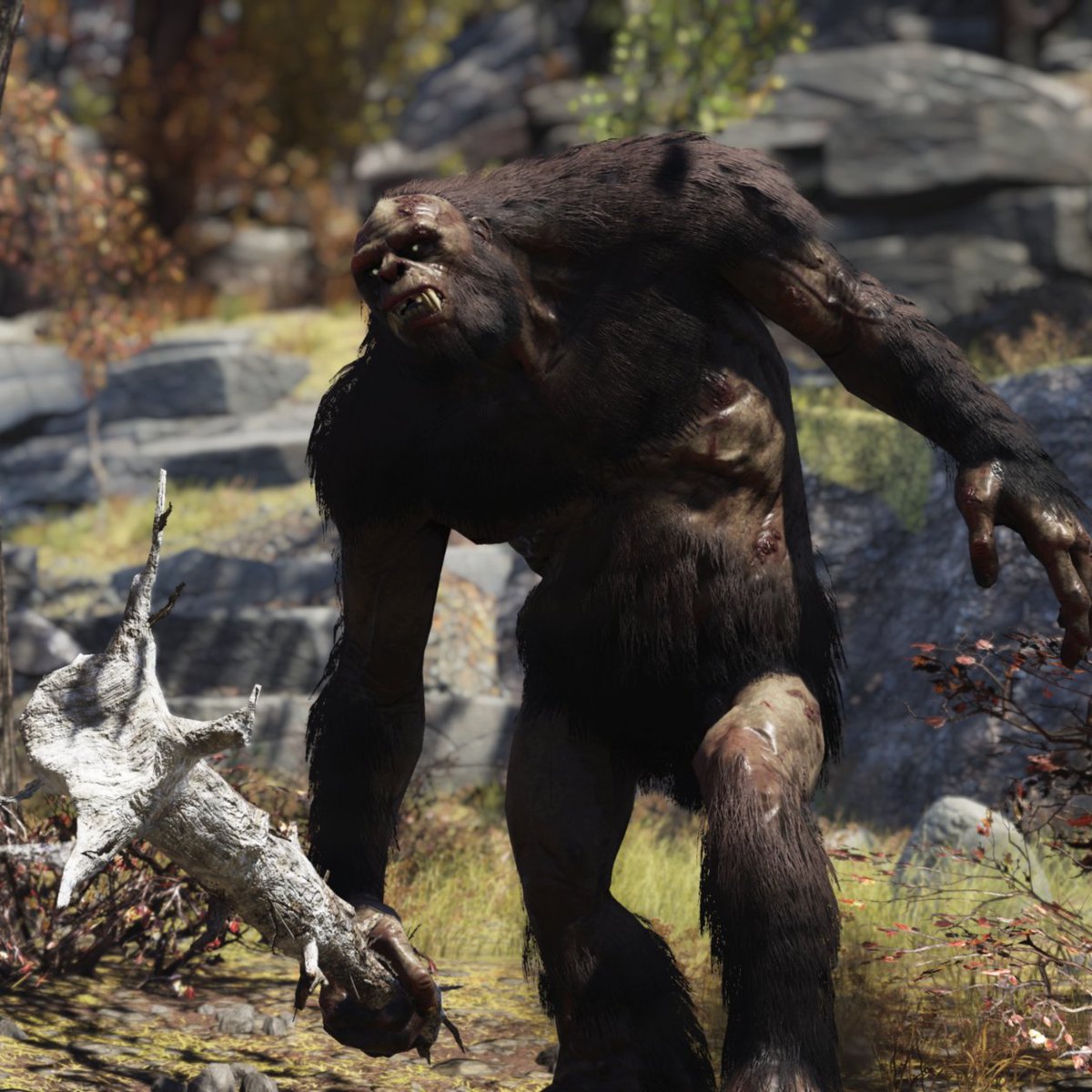 Fallout France tweet media