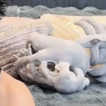 มีน้องสองตัววววว เอาไว้เล่นด้วยกันป่าววว 

#ต้าห์อู๋ออฟโรด #DaouOffroad