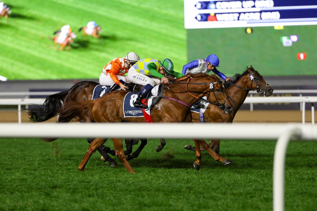 m.a.orfe2012.2013 tweet media