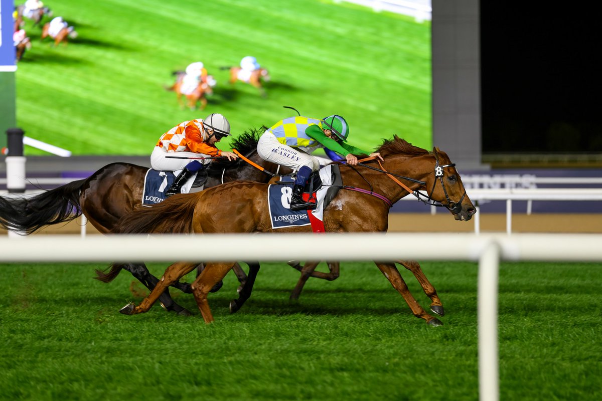 m.a.orfe2012.2013 tweet media