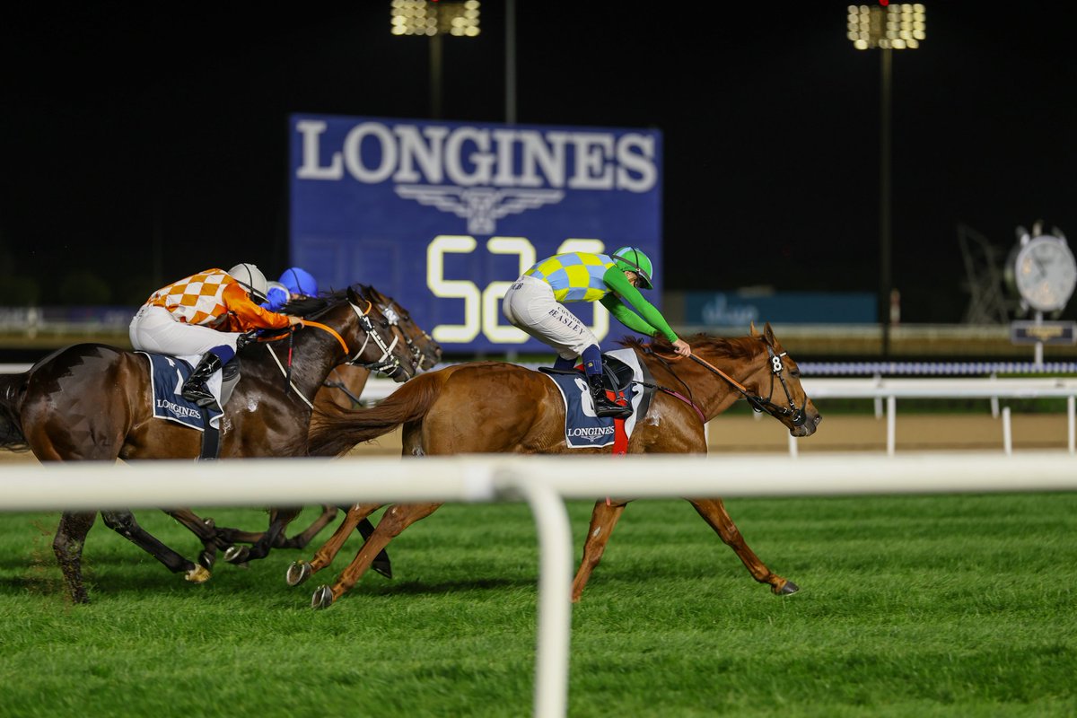 m.a.orfe2012.2013 tweet media