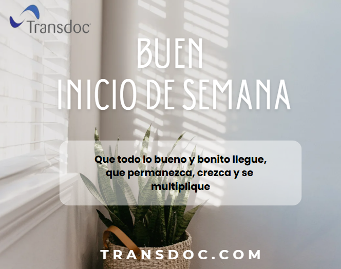 transdoctrabajos tweet media