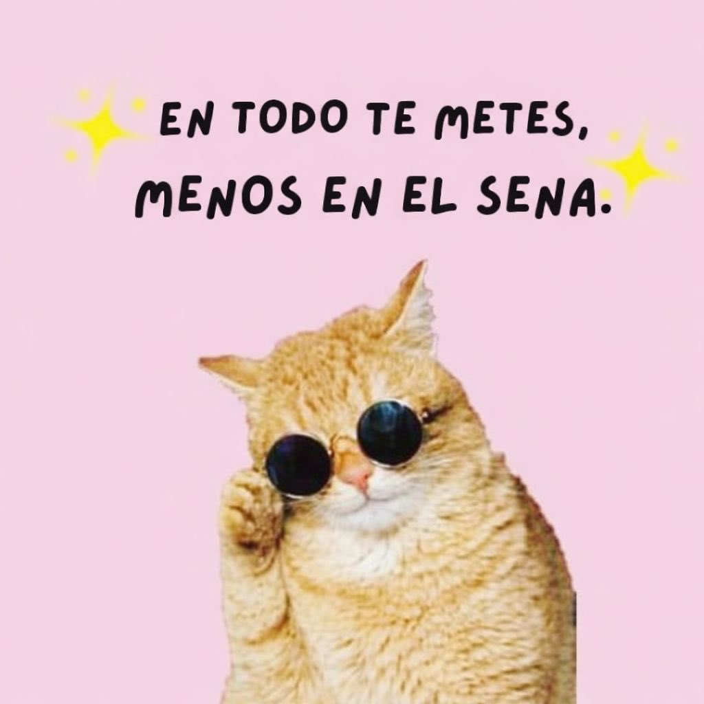 Estos son los programas más solicitados del SENA y las razones por las que son los más buscados💚.

👉 Alta empleabilidad, formación pertinente y oportunidades reales.
Inscríbete en ➡️ betowa.sena.edu.co #EstudiaEnElSENA