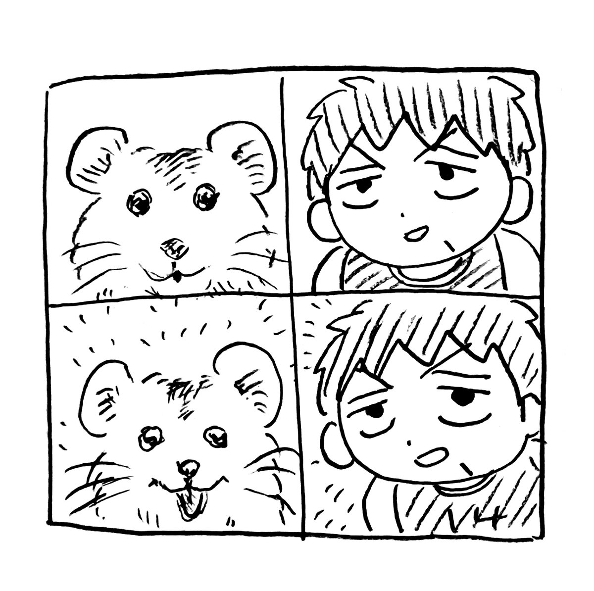 み！😆🤝🦘✨