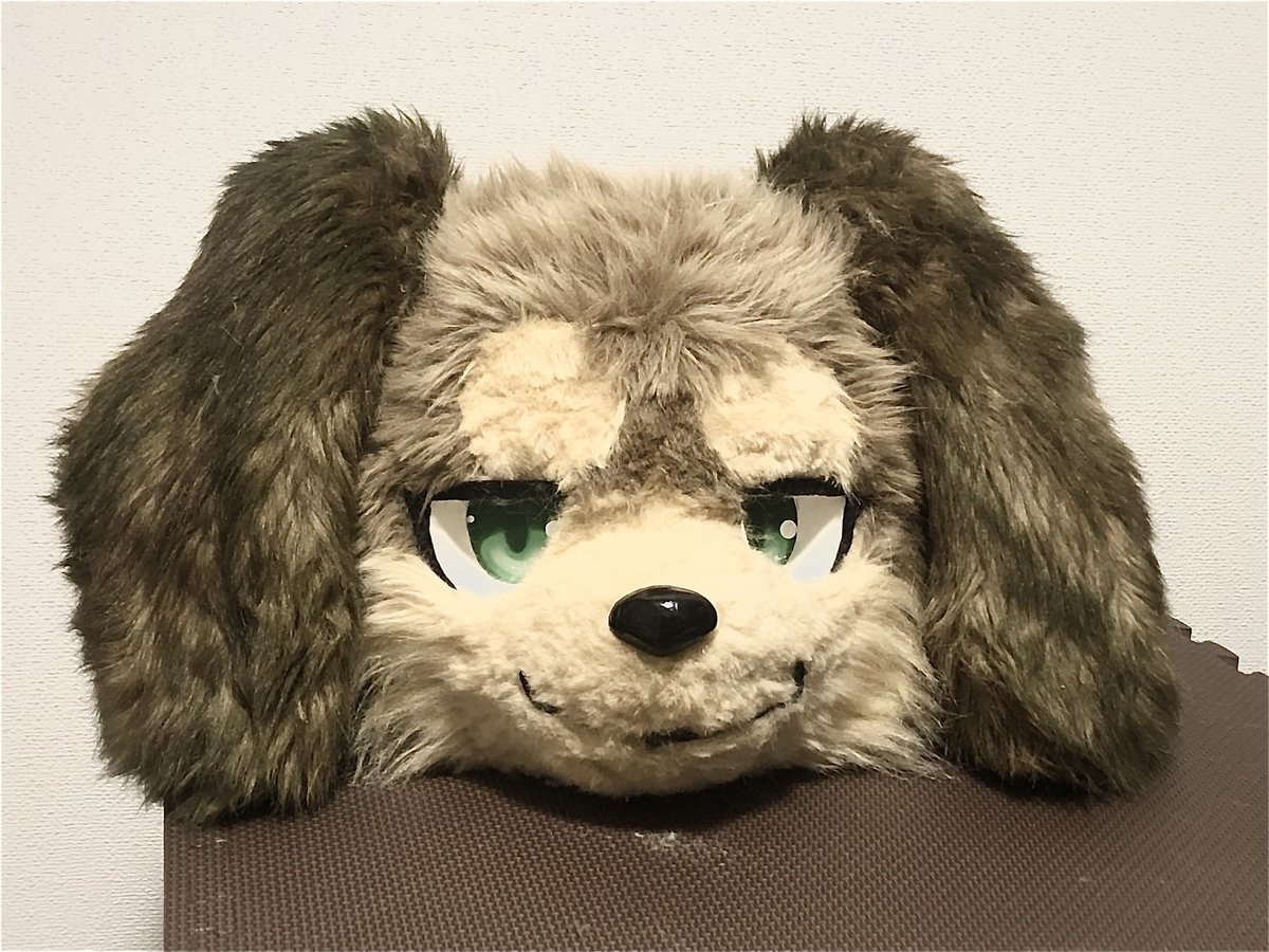 毛の剪定してる
昨日より鼻回りがスマートになってきた 