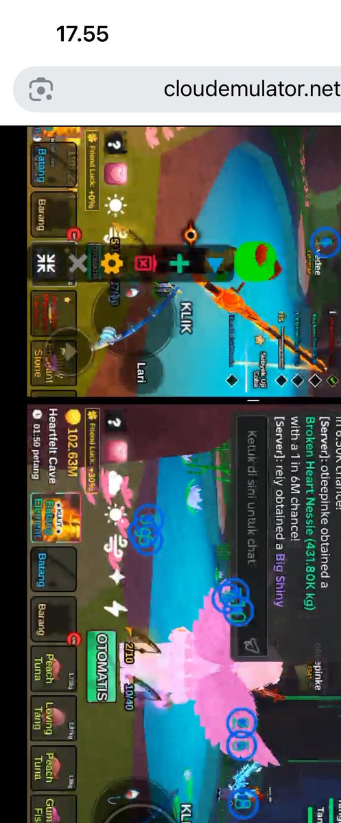 beary mt after dm!!!! tweet media