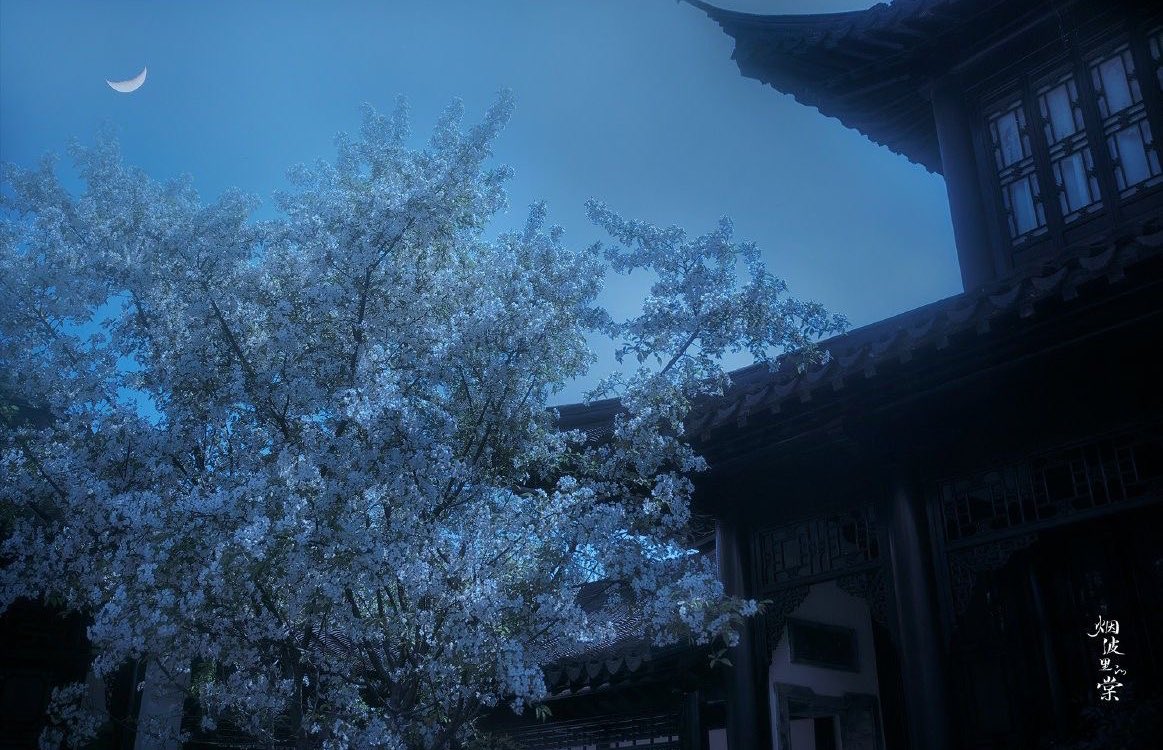 深夜 . tweet media