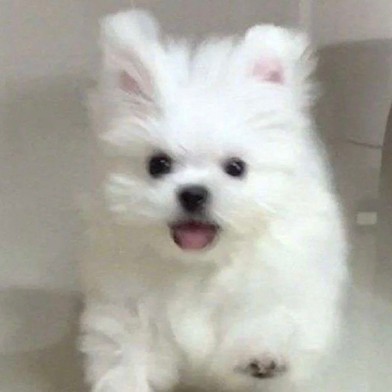 หูบินหมดแระอ้วน🫳🏻

– #TLE_mtm ੯‧̀͡⬮\