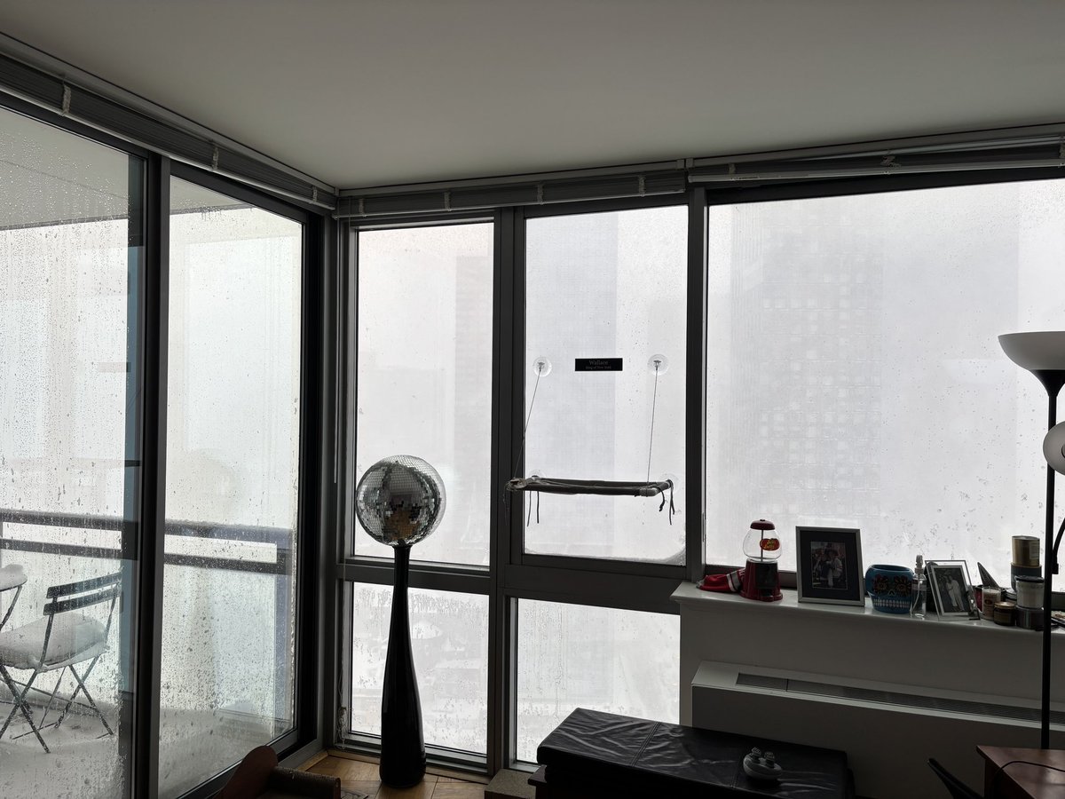 MidwestFantasy's tweet image. Good #MondayMorning 

Sending warm wishes to all you in the Northeast buried in snow ❄️Watching Weather Channel—wow. My son in NYC and sent pic from 24th floor apartment. City hardly visible. Stay home!

Have a great day everyone 

#MondayVibes #Snowstorm2026